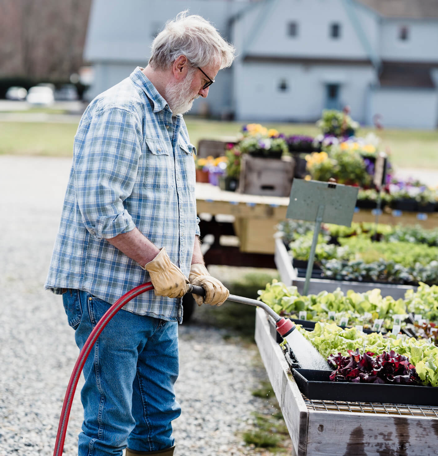 Untitled-design-11-e1732798608936